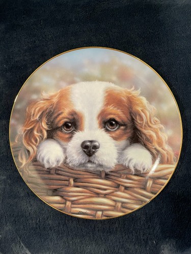 Danbury mint collector plate - plate,