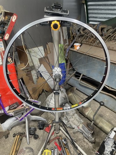 Retro sun rhyno - 26”, lite