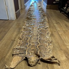 Very Large 17ft African Rock