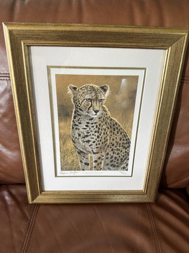 Stephen gayford signed cheetah - gayford,