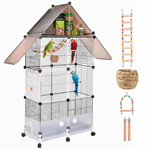 Parrot cage bird - parrot, cages
