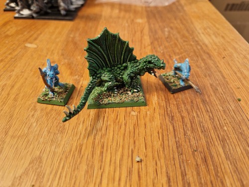 Salamander skink runners - +2,