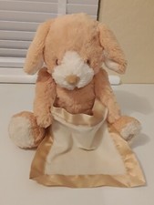 Spin Master Peek-A-Boo Puppy-