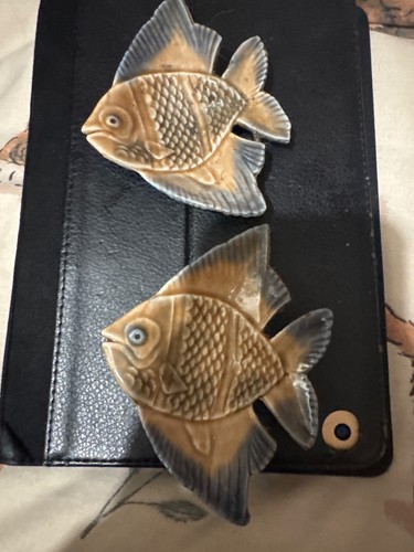 Wade angel fish - angel,