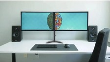 Dual Screen 2×22″ Monitor Bundle - (1680 x 1050) - 2 x