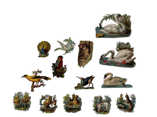 Victorian die cut - die, birds
