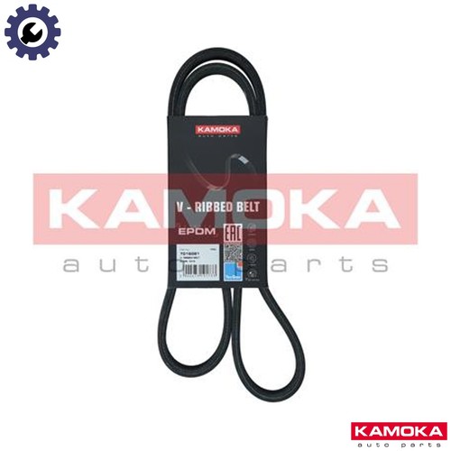 Vribbed belt 7016081 - belt, vw