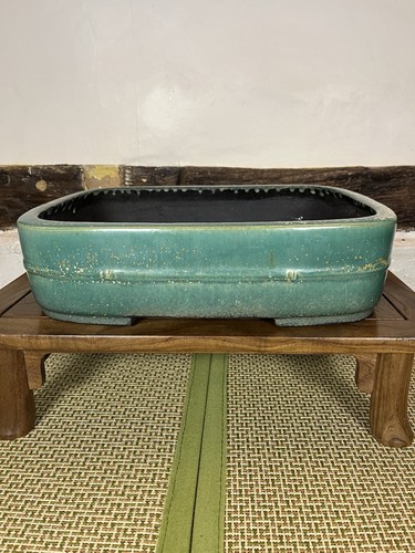 Aiba koyo bonsai - pot, green