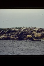 Vintage 1977 Photo Found 35mm