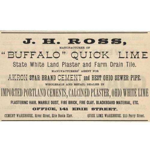 1886 buffalo quick - buffalo, lime