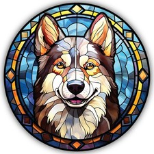 Alaskan Husky Dog Stained