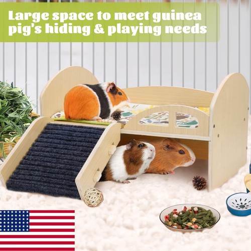 Upgraded guinea pig castle - guinea,