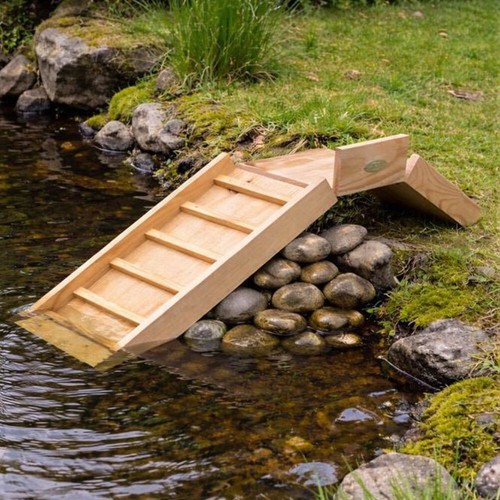 Hedgehog ladder fsc - hedgehog,