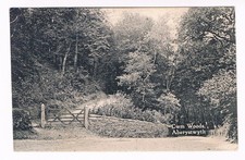 ABERYSTWYTH POSTCARD - Cwm Woods Aberystwyth Ceredigion