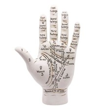 Large Palmistry Hand Model
