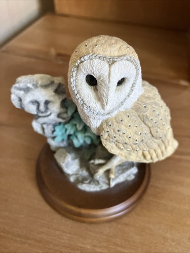 Barn owl with stone sun - owl,