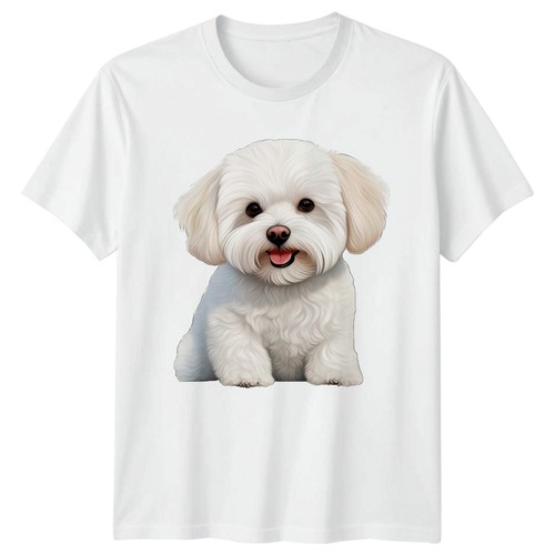 Cute fluffy maltese puppy - cute,