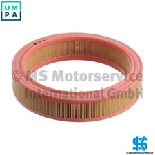 AIR FILTER 50013077 FOR R06