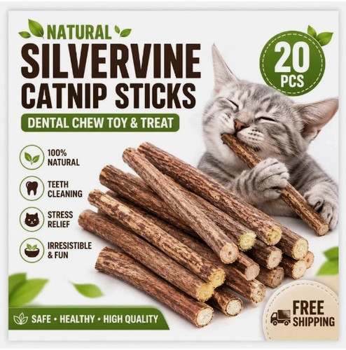 20pcs natural silvervine - natural,