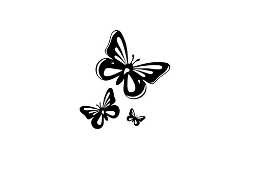 Butterfly car van - butterfly, bumper