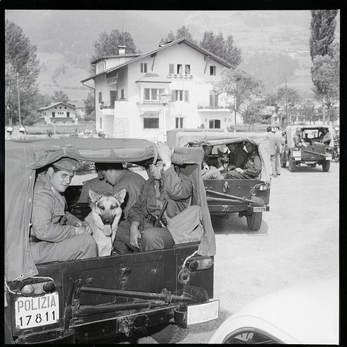 Dogs cops sit military