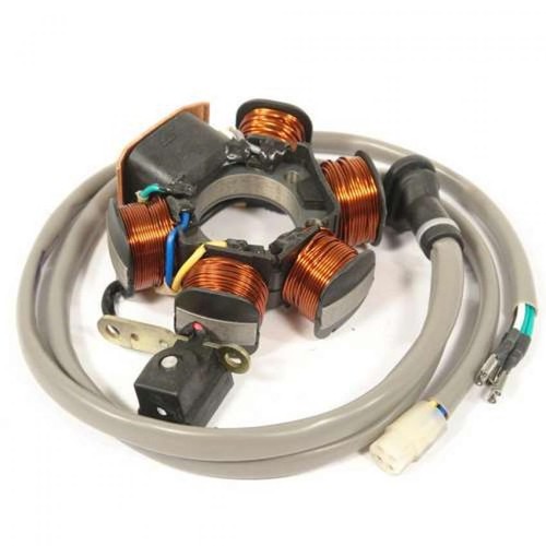 V833300109 stator bergamaschi - v833300109,
