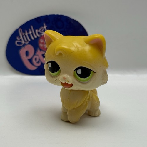 Persian cat mm1 authentic - -,