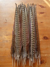 30 COCK PHEASANT TAIL FEATHERS 17"FLY TYING ART.FLORAL DISPLAY,JEWELLERY