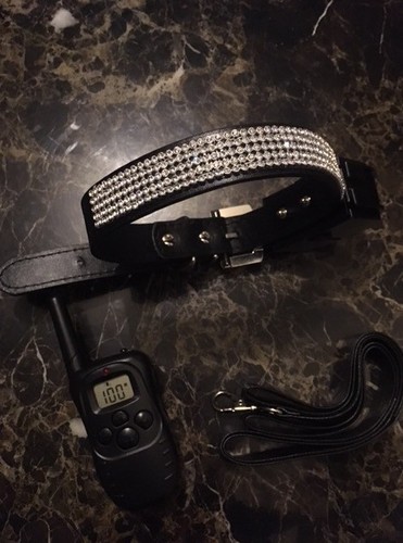 Bondage kit shock collar - kit,