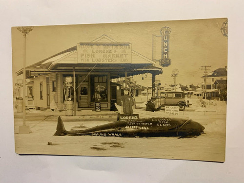 Real photo postcard hampton - photo,