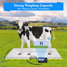 660lb veterinary digital - veterinary,