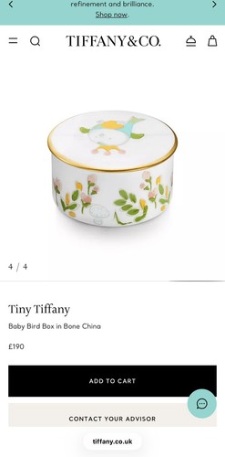 Tiffany baby bird box - tiffany,