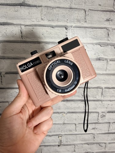 Pink beige retro lomo - lomo, holga