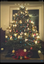 Luxury 7 foot Realistic