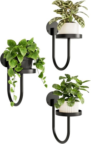 Wall plant holder - wall,