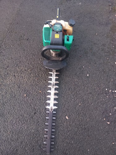 Hedge trimmer - hedge,