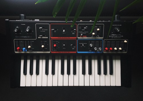 Moog realistic concertmate - moog,