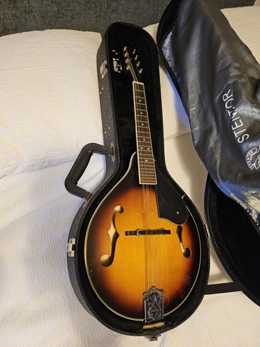 Mandolin westfield hard - mandolin,