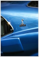 1969 Ford Mustang Shelby GT