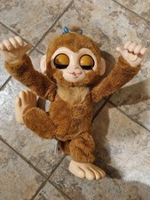 Peanut The Playful Monkey