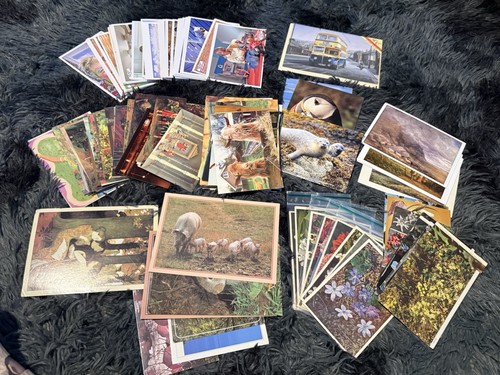 Job lot vintage postcards - job,