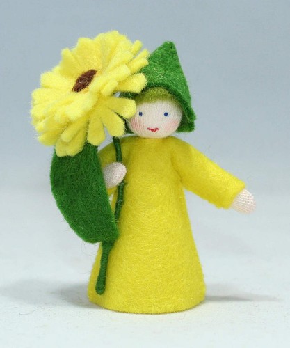 Ambrosius calendula fairy - calendula,