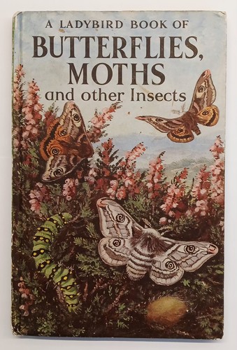 Vintage ladybird book - vintage,
