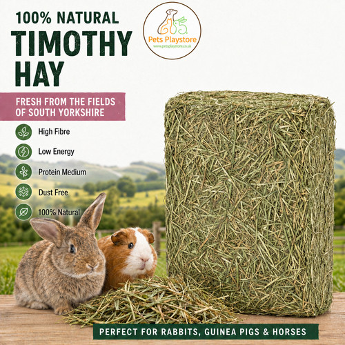 11kg timothy hay - timothy, rabbit