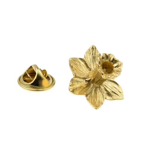 Welsh daffodil english gold - welsh,