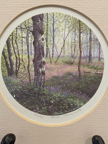 Steven townsend print - townsend,