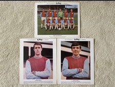 60s vintage collectable typhoo