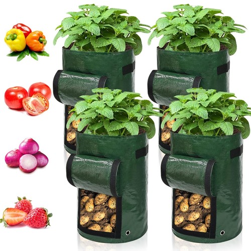 Ram pack gallon potato - 4, 7