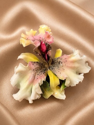 Vintage crown derby - vintage,