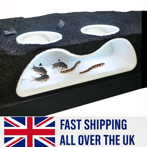Multifunctional aquarium - multifunctional,